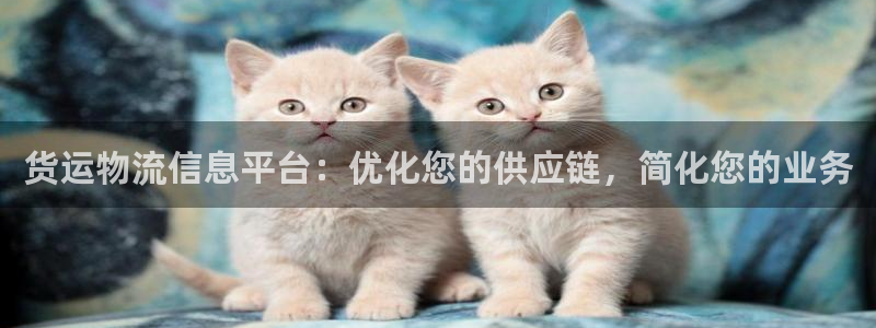 28圈模拟：货运物流信息平台：优化您