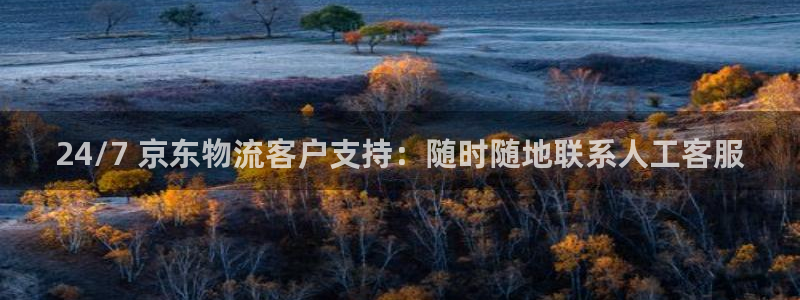 南宫28圈官网：24/7 京东物流客