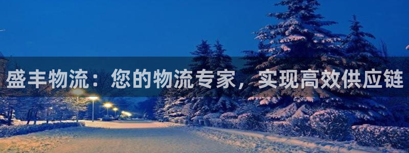 28圈下载体育：盛丰物流：您的物流专