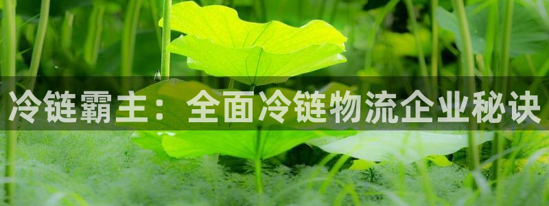 28圈官方官网：冷链霸主：全面冷链物