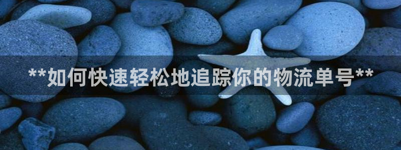 28圈能退款吗：**如何快速轻松地追
