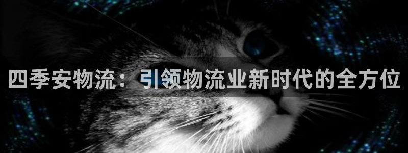 28圈官方网站：四季安物流：引领物流