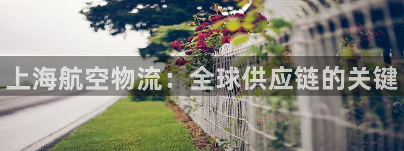 28圈ccm游戏：上海航空物流：全球