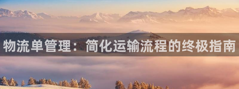 28圈ip被限制怎么解决：物流单管理