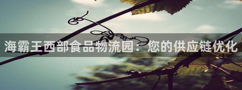 28圈官网版所有版本：海霸王西部食品