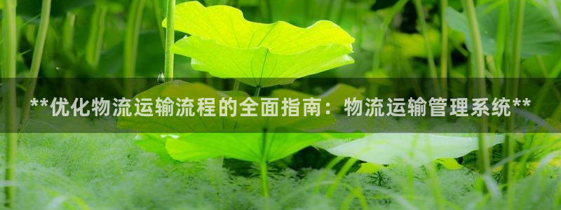 28圈可靠吗：**优化物流运输流程的