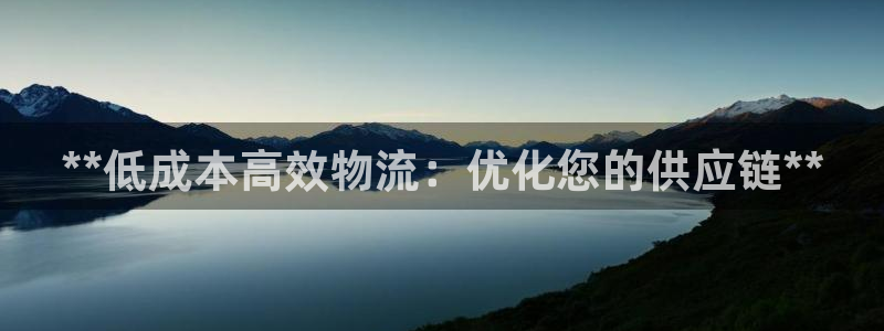 28圈模拟器下载：**低成本高效物流