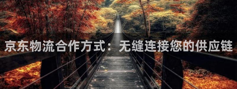 28圈注册号：京东物流合作方式：无缝
