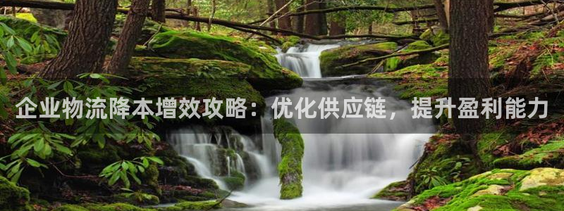 28圈充值金额随便：企业物流降本增效