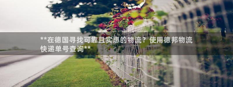 28圈二维码：**在德国寻找可靠且实