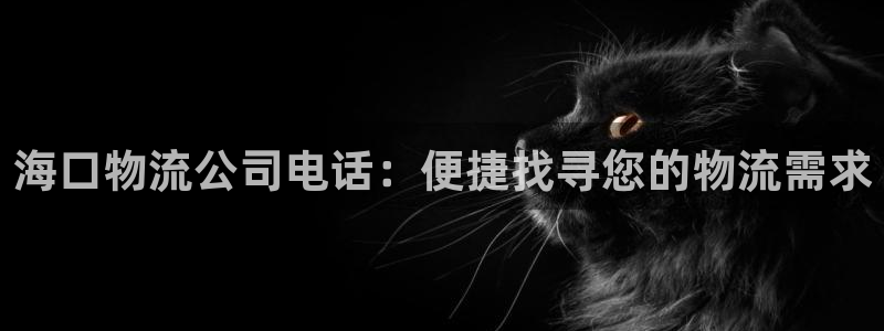 28圈模拟器下载：海口物流公司电话：