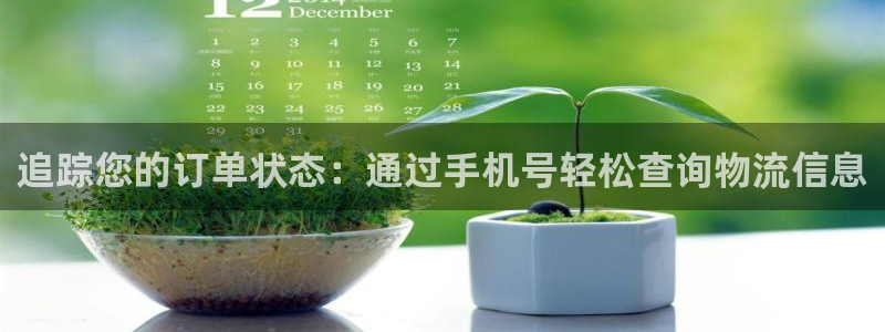 28圈如何退款：追踪您的订单状态：通