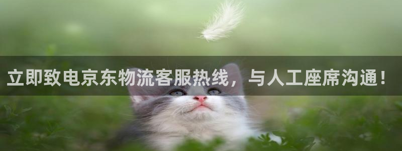 28圈圈助手：立即致电京东物流客服热