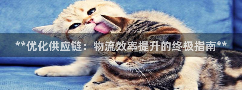 28圈app怎么注销：**优化供应链