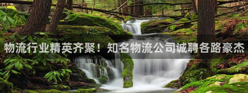 28圈注册步骤：物流行业精英齐聚！知