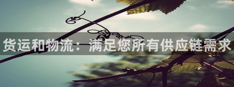 28圈cn：货运和物流：满足您所有供