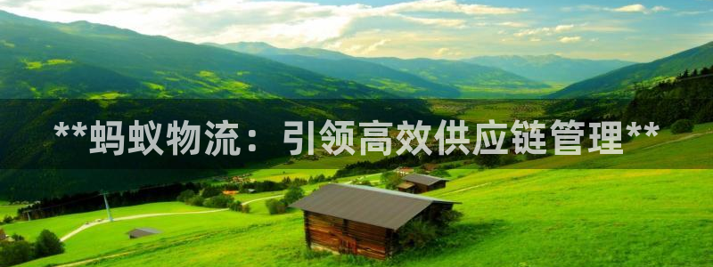 28圈app怎么注销：**蚂蚁物流：