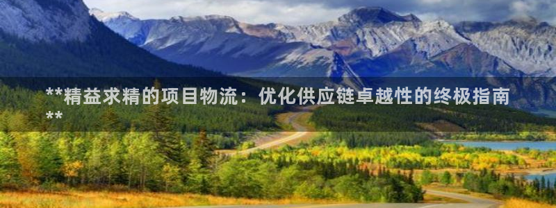 28圈大舞台：**精益求精的项目物流