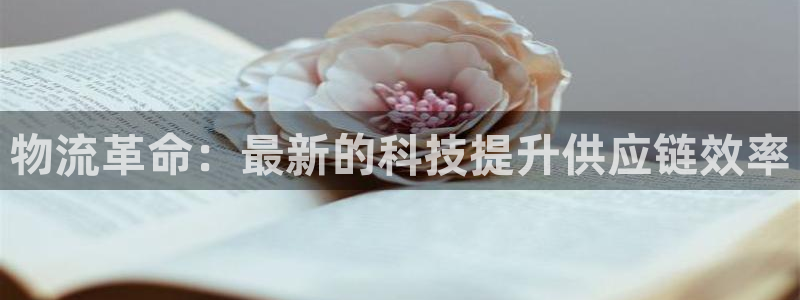 28圈能提现吗