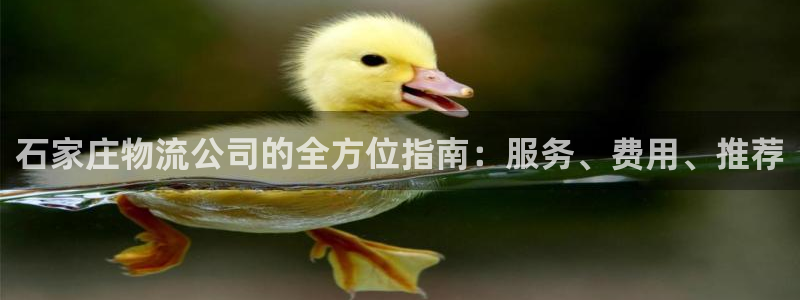 28圈初始资金密码在哪里改：石家庄物