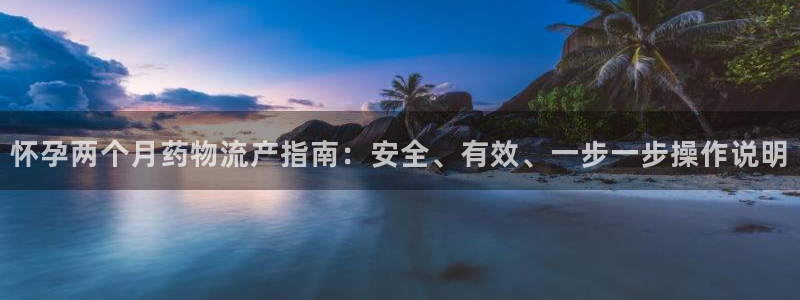 28圈是正规平台吗：怀孕两个月药物流