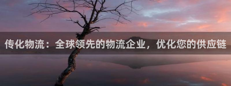 28圈官方平台：传化物流：全球领先的