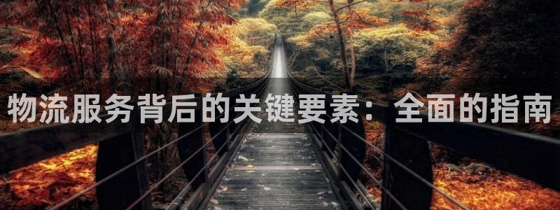 28圈如何退款：物流服务背后的关键要
