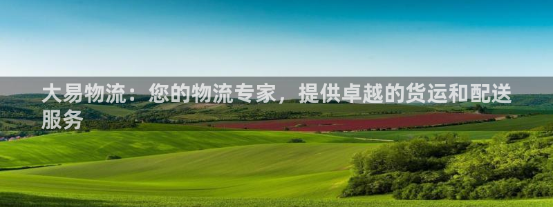 28圈官方：大易物流：您的物流专家，