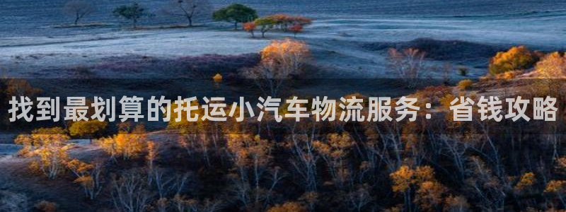 28圈官方官网版