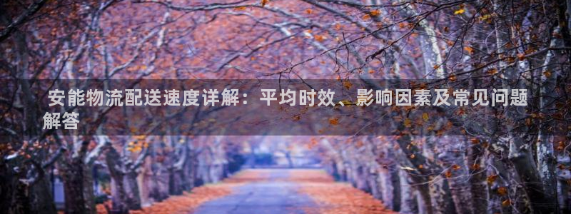 28圈加拿大6.0： 安能物流配送速