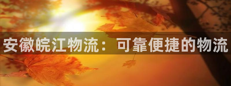 28圈是啥：安徽皖江物流：可靠便捷的