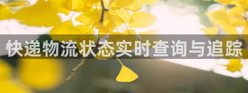 28圈游戏最新版