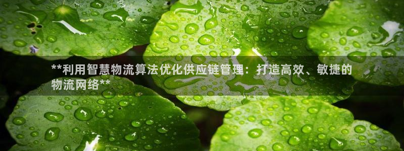 28圈反水怎么算