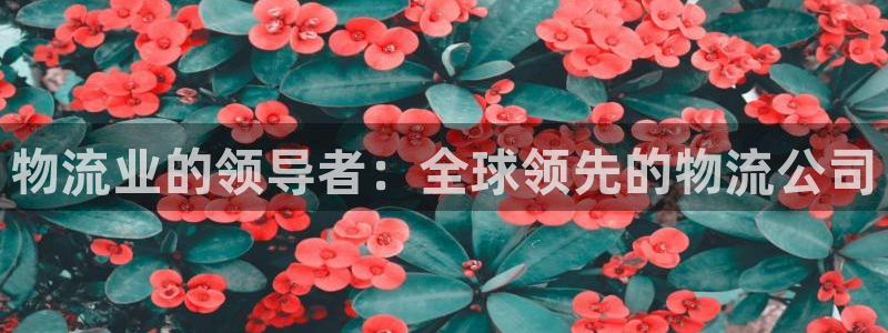 28圈加拿大pc预测：物流业的领导者