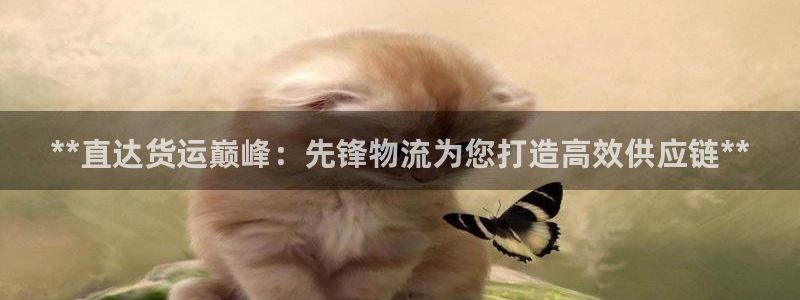 28圈登录：**直达货运巅峰：先锋物