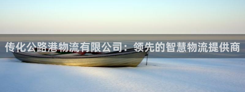 28圈在线预测官网：传化公路港物流有