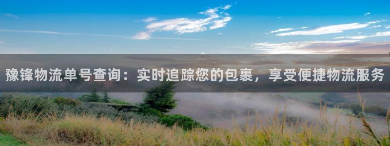 28圈下载二维码