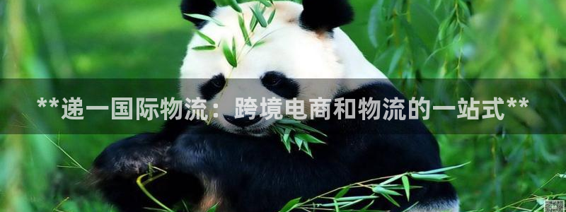 28圈软件是诈骗吗：**递一国际物流