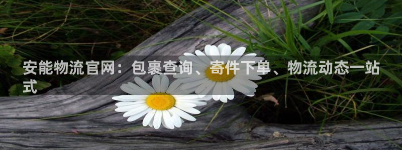 28圈网站平台是多少：安能物流官网：