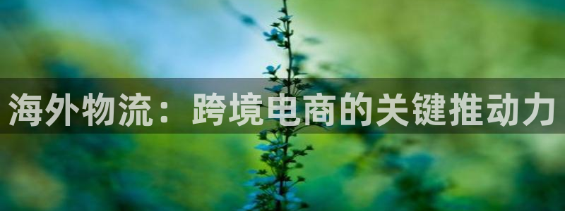 28圈客服一直不回消息怎么办：海外物