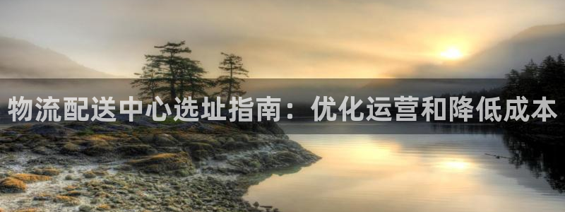 28圈开奖预测：物流配送中心选址指南