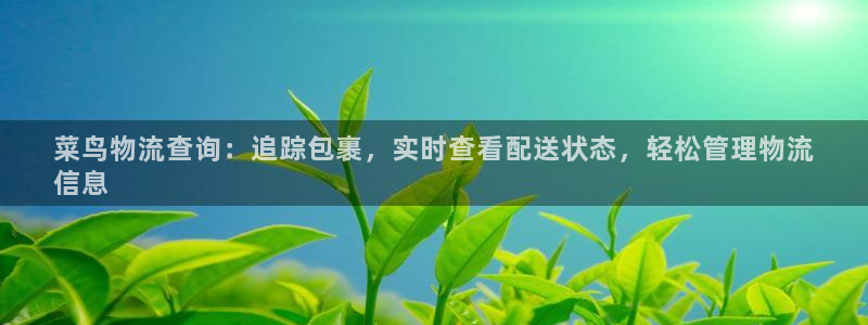 28圈游戏官网版