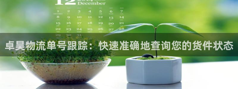 加拿大28圈注册链接：卓昊物流单号跟