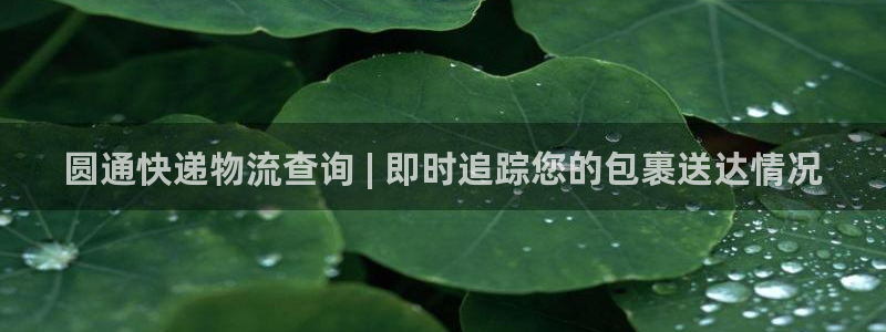 28圈分分28预测：圆通快递物流查询
