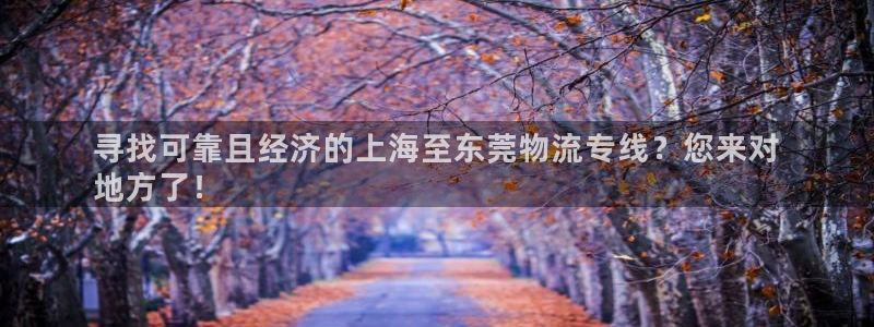 28圈模拟器：寻找可靠且经济的上海至