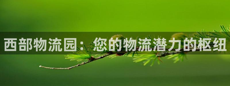 28圈app怎么注销：西部物流园：您