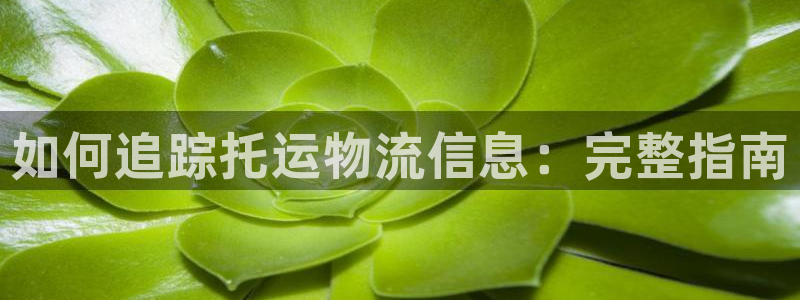 28圈注册问一问：如何追踪托运物流信