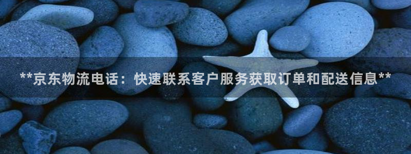 28圈自行车图片大全：**京东物流电