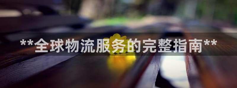 自行车28圈是什么意思：**全球物流