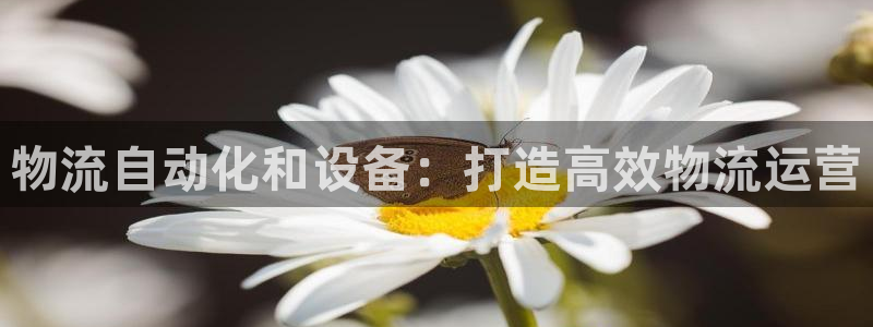 28圈龙虎：物流自动化和设备：打造高